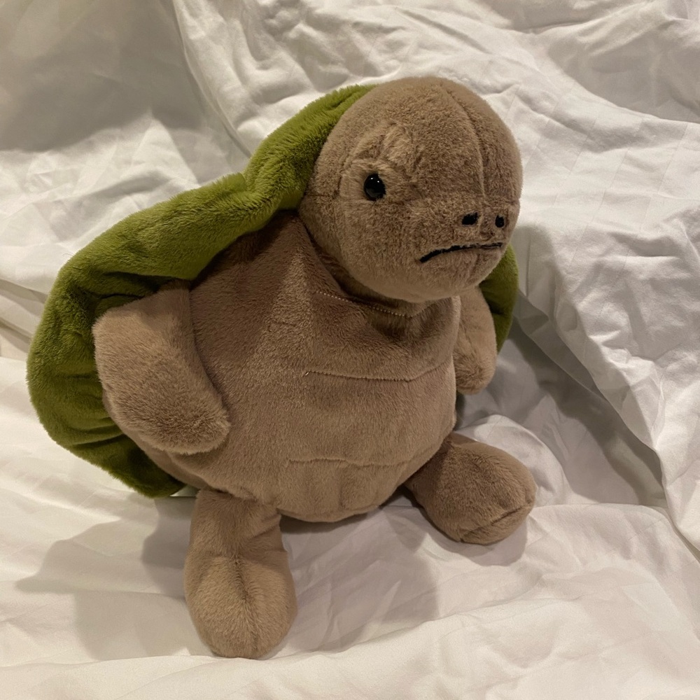 Turtle Plush with Dust Bag